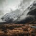 Photo Snowy landscape